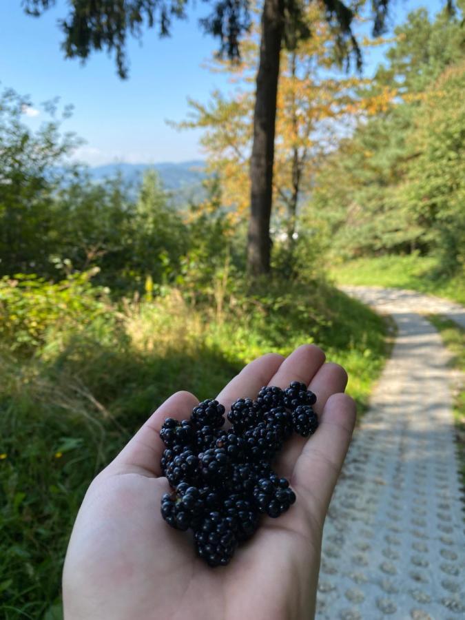Отель Milusia Мушина Экстерьер фото